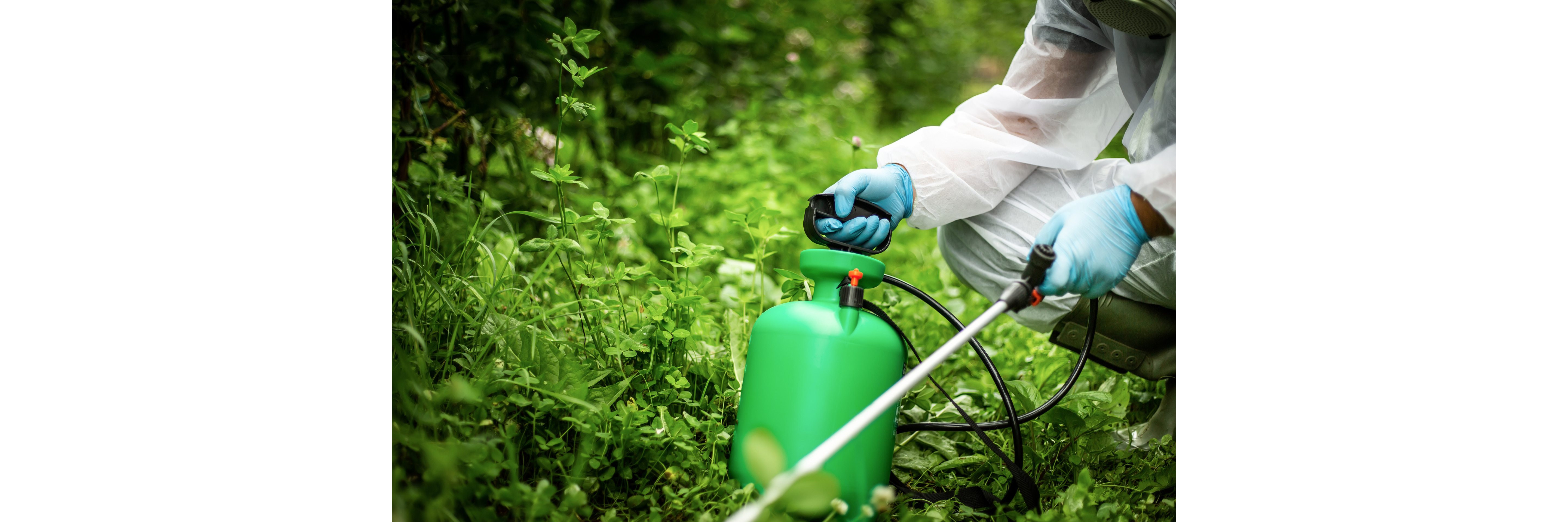 Biocides Biocides