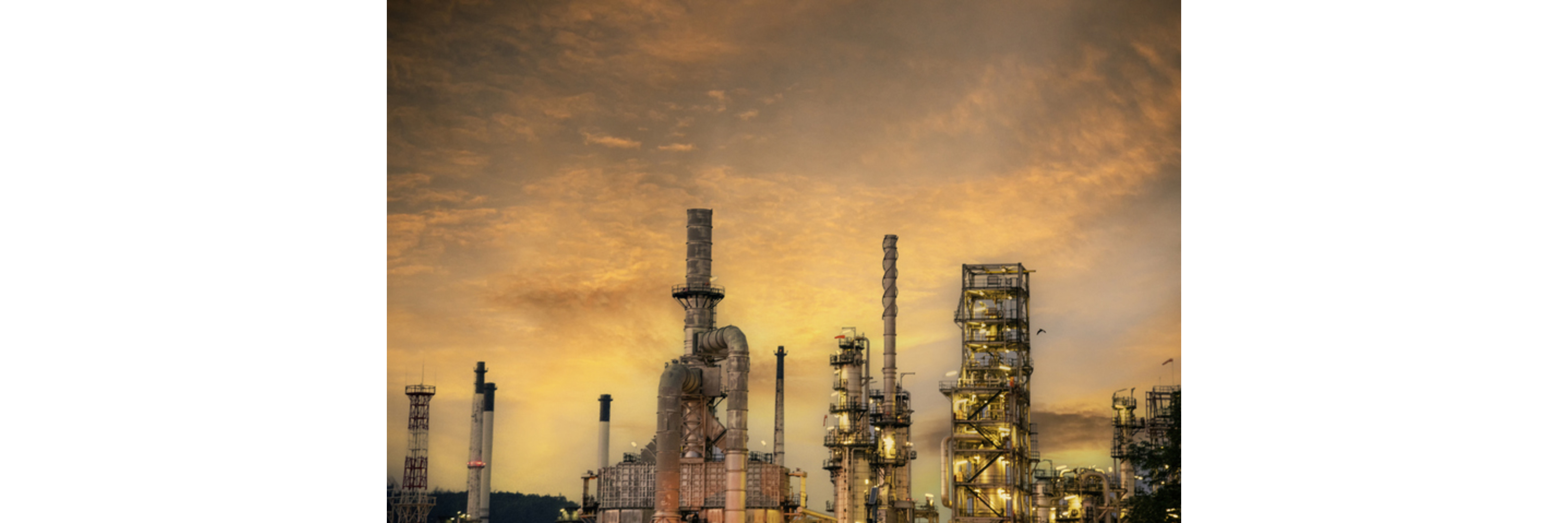 Bulk Petrochemicals Bulk Petrochemicals