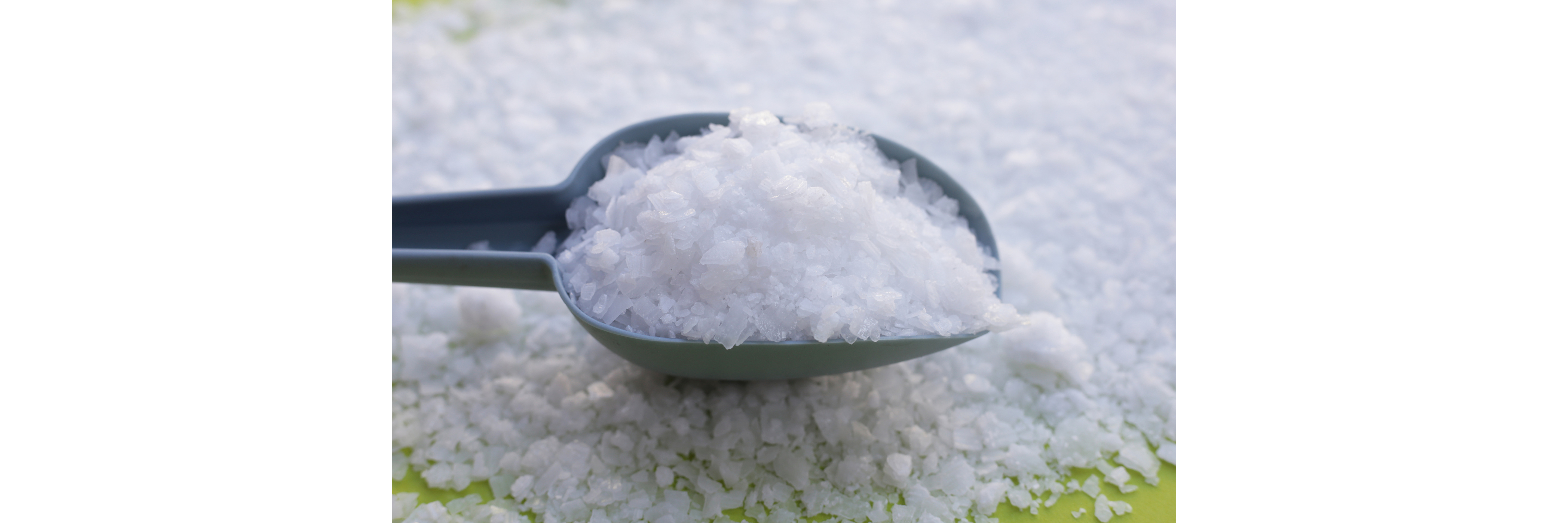 Essential Chemicals & Ingredients
