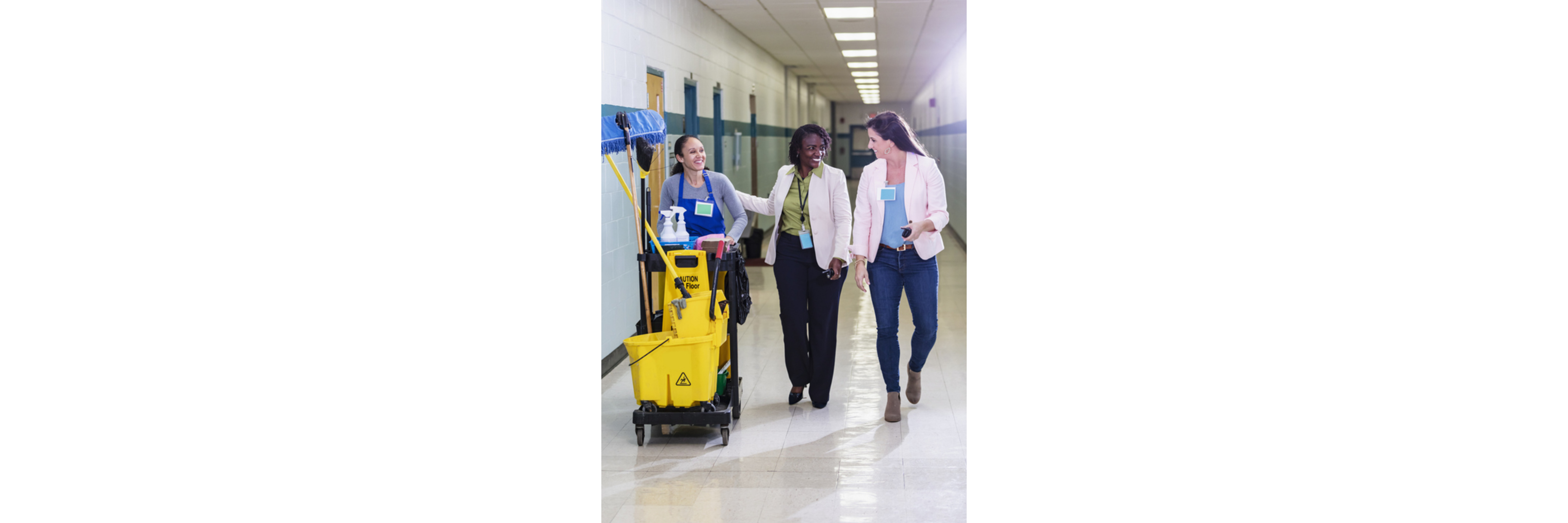 Industrial & Institutional Cleaners Industrial & Institutional Cleaners