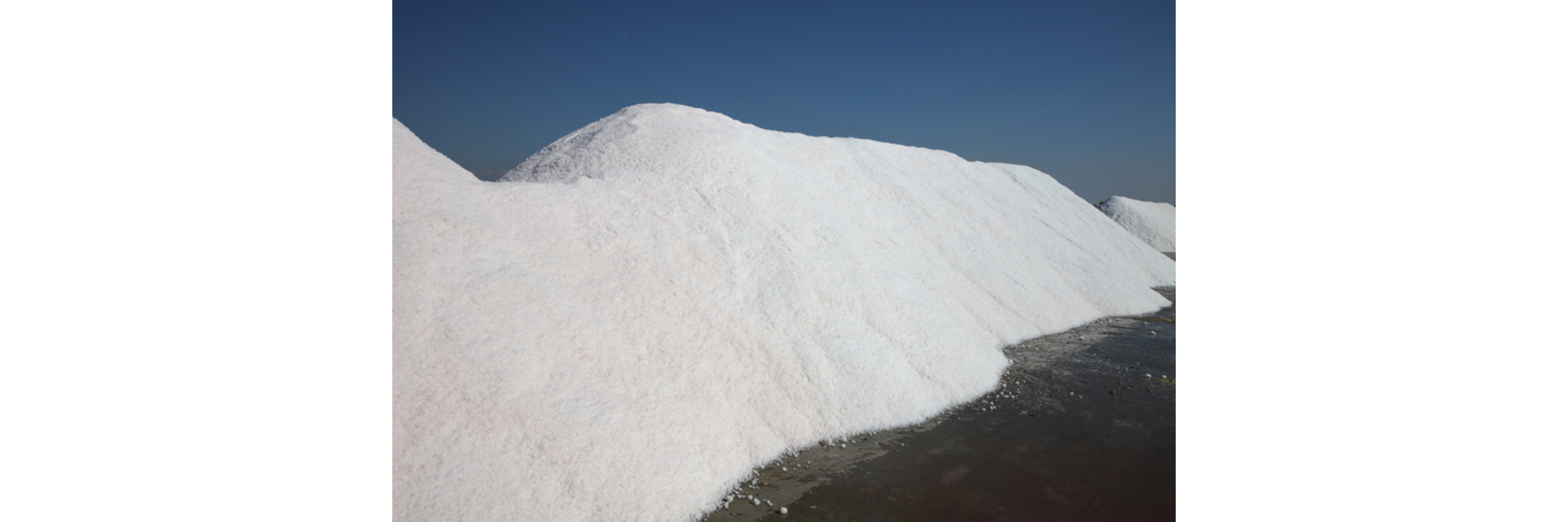 Inorganic Bulk Chemicals Inorganic Bulk Chemicals