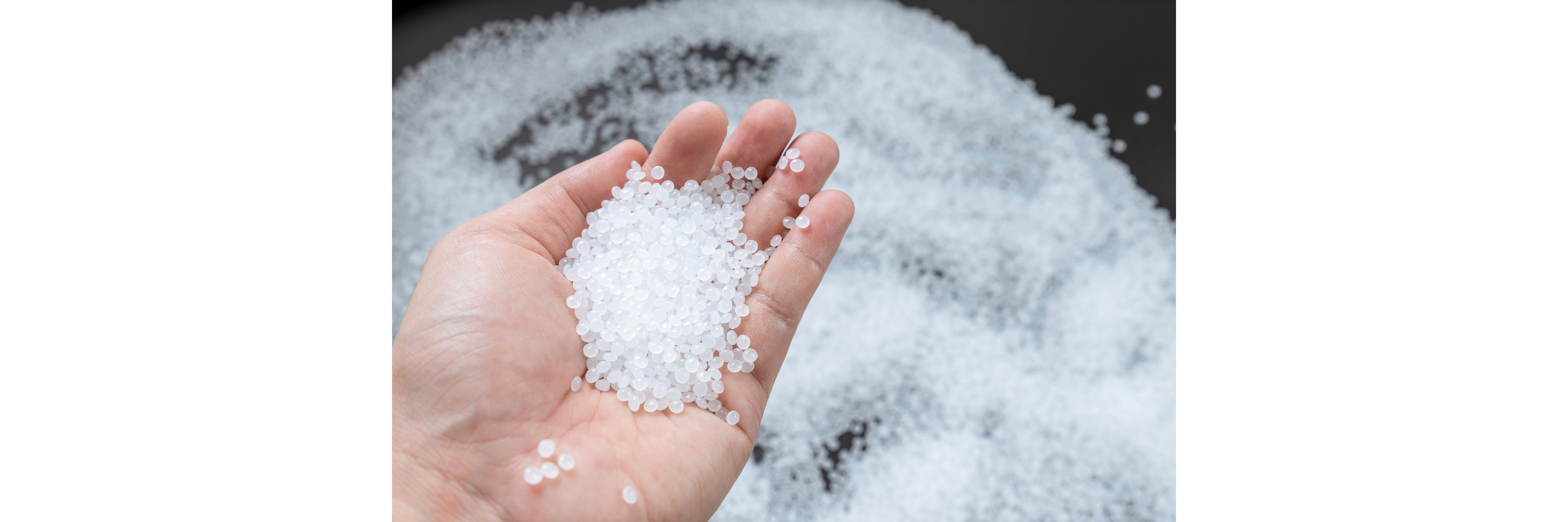 Polymers Polymers